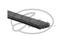řemen vodní pumpy plochý drážkový GATES 4PK 1008HD Crossway E6 IVECO
